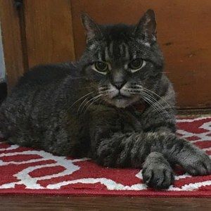 Meet your Posher, Jodi